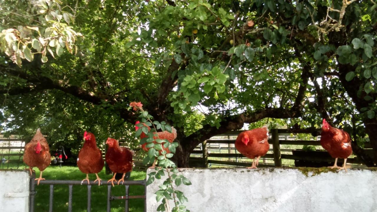 Cummins Cottages Ballycrossaun Екстериор снимка