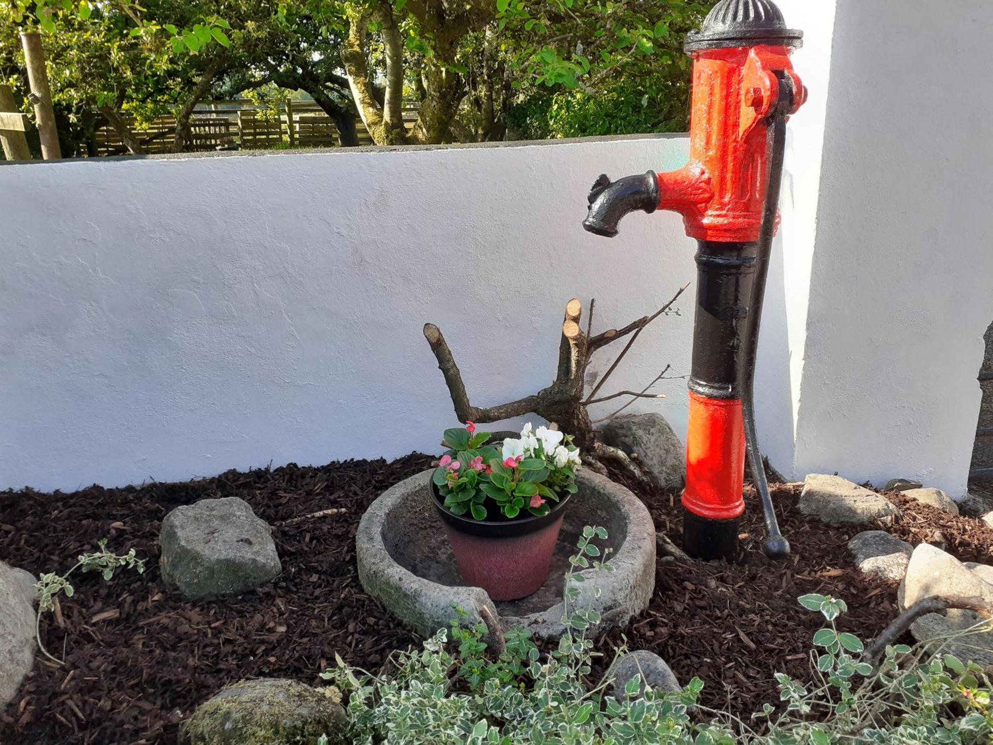 Cummins Cottages Ballycrossaun Екстериор снимка