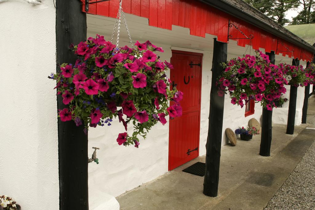 Cummins Cottages Ballycrossaun Екстериор снимка