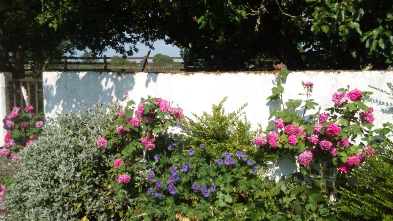 Cummins Cottages Ballycrossaun Екстериор снимка