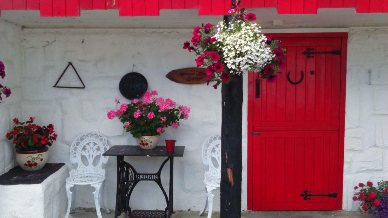 Cummins Cottages Ballycrossaun Екстериор снимка