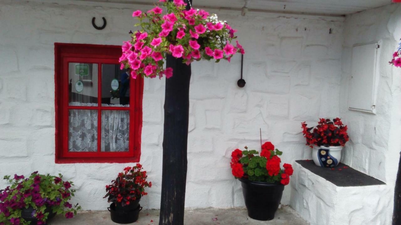 Cummins Cottages Ballycrossaun Екстериор снимка